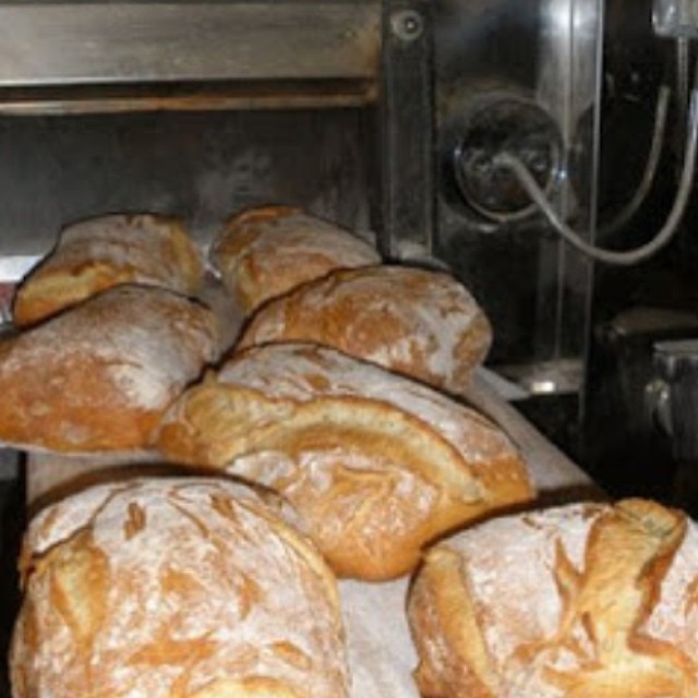 Rise Up Bread Rise Up Bread