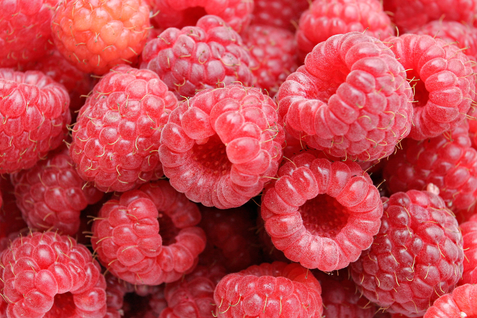 Raspberries Raspberries